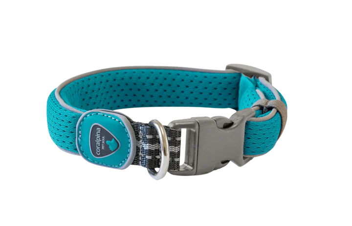 Coralpina Cinquetorri Dog Collar - Turquoise