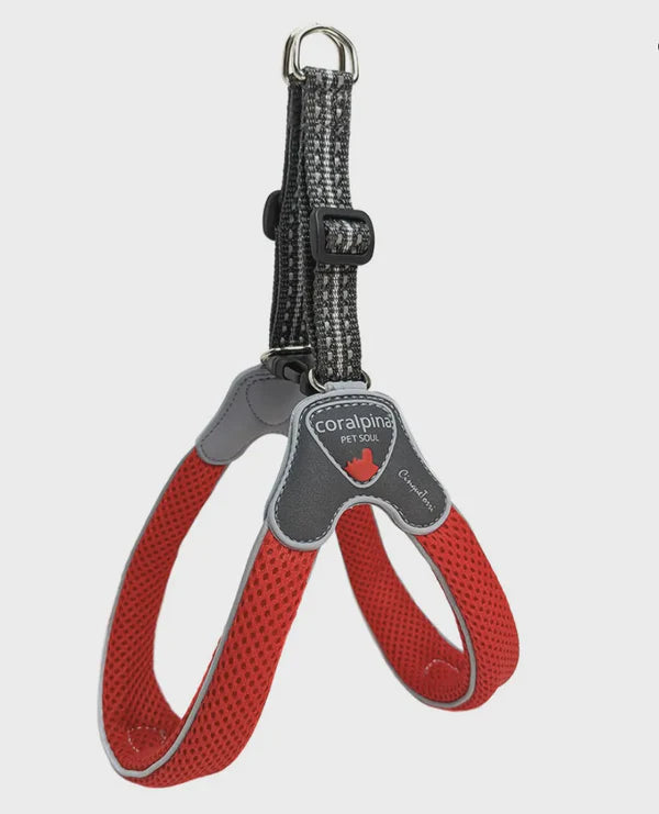 DOG HARNESS - THE CINQUETORRI RED