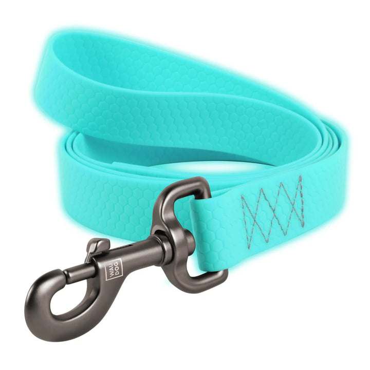 Waudog Waterproof Dog Leash - Menthol Glow in the Dark