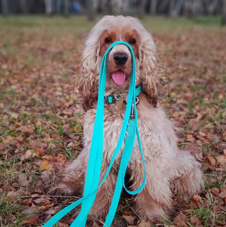 Waudog Waterproof Dog Leash - Menthol Glow in the Dark