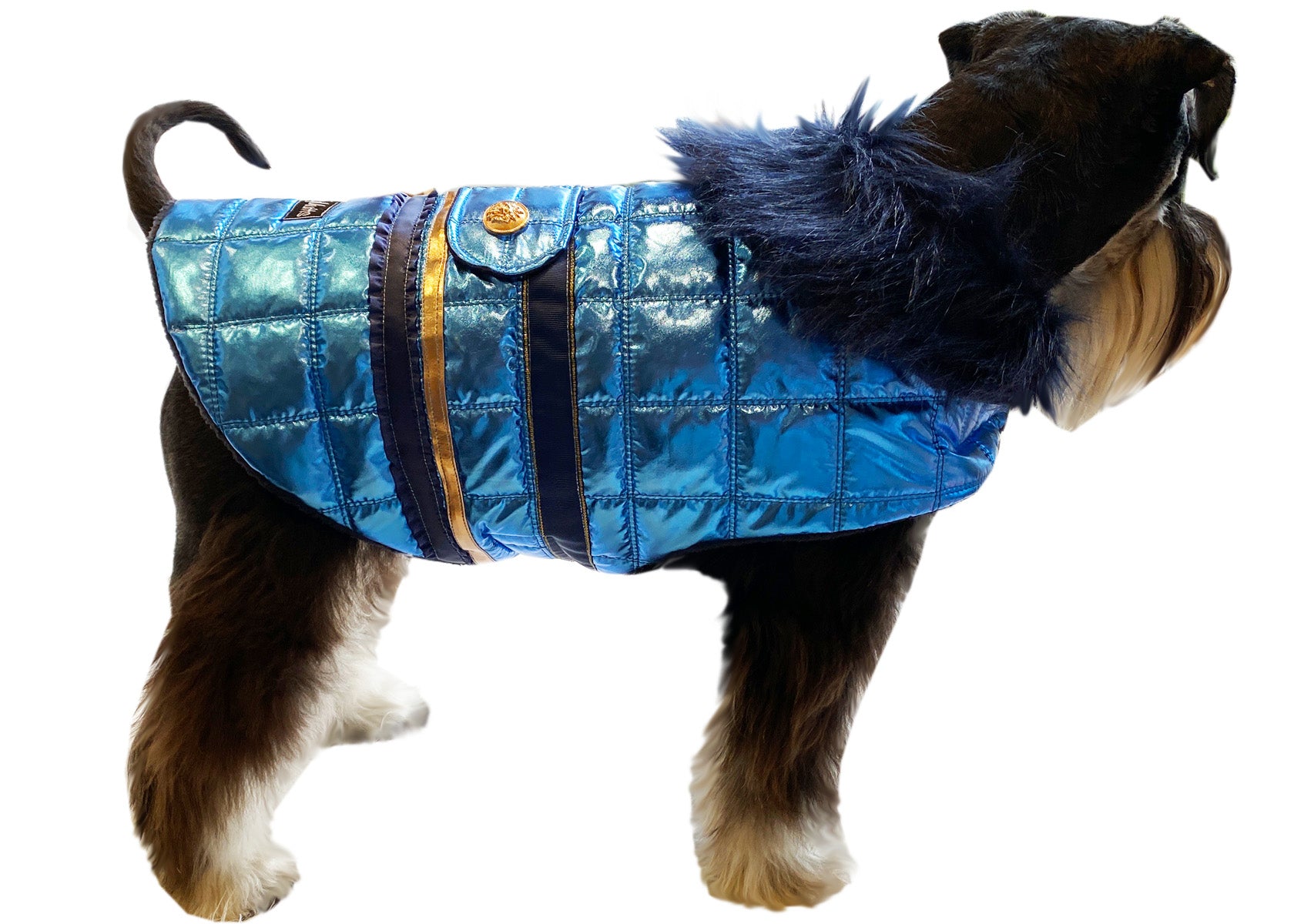 Dog Coat The Ritz Collection Metallic Blue Lux Pets