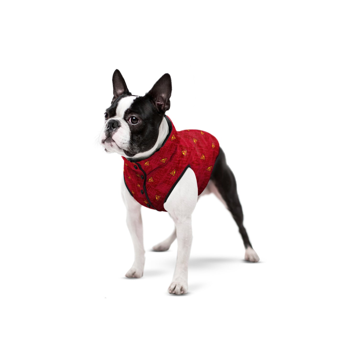 Canada goose dog jacket que es best sale