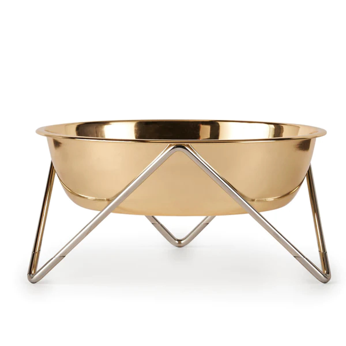 Gold 2024 dog bowl