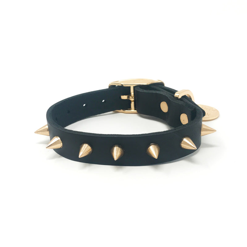 Nice Digs Spike Leather Dog Collar - Gold Noir, Lux Pets
